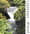 小さな滝 109293053