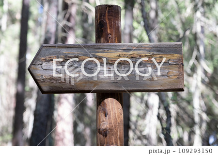 Ecology the inscription on the pillar against the background of the forest Ecology the inscription on the pillar against the background of the forest 109293150