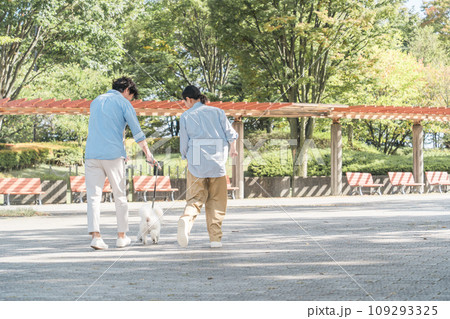 犬の散歩をする夫婦・愛犬家・飼い主・ペットシッター・家族 109293325