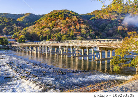 朝の渡月橋 朝の渡月橋 109293508