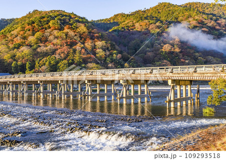 朝の渡月橋 109293518