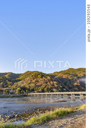 朝の渡月橋 朝の渡月橋 109293548
