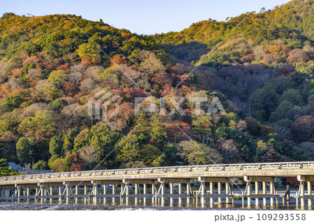 朝の渡月橋・嵐山 109293558