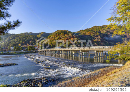 朝の渡月橋 朝の渡月橋 109293592