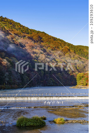 朝の渡月橋 109293610