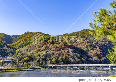 朝の渡月橋・嵐山 朝の渡月橋・嵐山 109293651