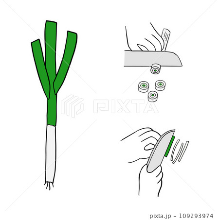 輪切り、小口切り　ねぎの切り方 109293974