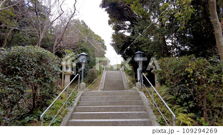 福岡の志賀海神社 福岡の志賀海神社 109294269