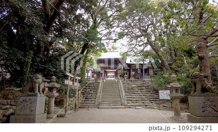 福岡の志賀海神社 109294271