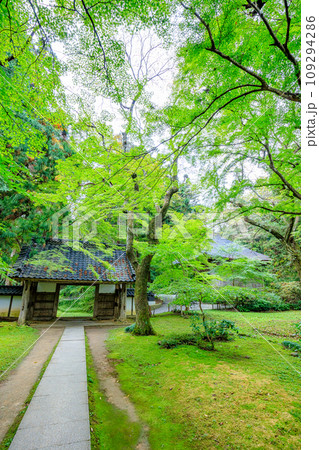 初秋の中尊寺 岩手県平泉町 初秋の中尊寺 岩手県平泉町 109294286