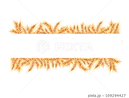A few gold ripe wheat ears as frame, horizontal label design element. Hand drawn watercolor isolated A few gold ripe wheat ears as frame, horizontal label design element. Hand drawn watercolor isolated 109294427