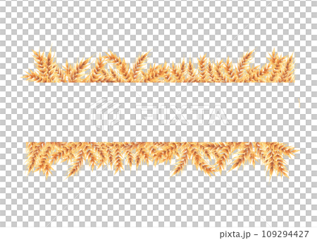 A few gold ripe wheat ears as frame, horizontal label design element. Hand drawn watercolor isolated A few gold ripe wheat ears as frame, horizontal label design element. Hand drawn watercolor isolated 109294427