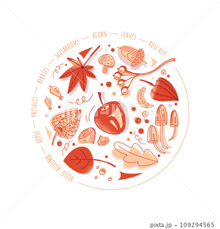 Vector circle composition of autumn elements 109294565
