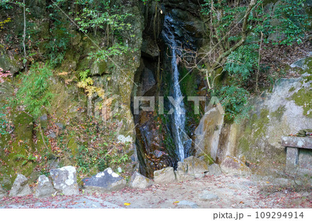 秋の三滝寺 秋の三滝寺 109294914