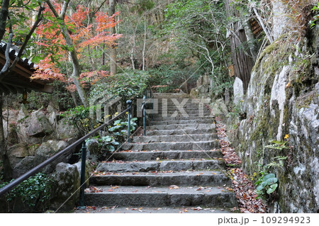 秋の三滝寺 秋の三滝寺 109294923