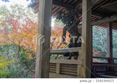 秋の三滝寺 109294925