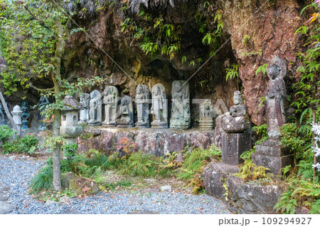 秋の三滝寺 109294927