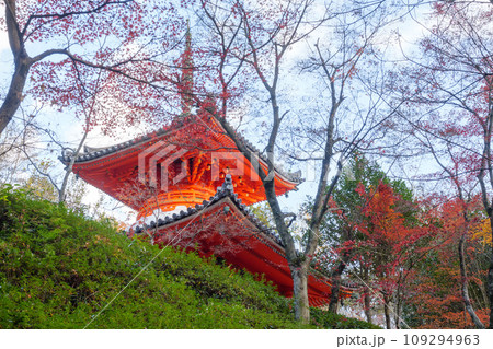 秋の三滝寺 秋の三滝寺 109294963