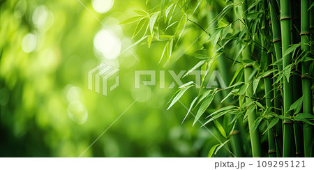 Bamboo Background, Generative AI Bamboo Background, Generative AI 109295121