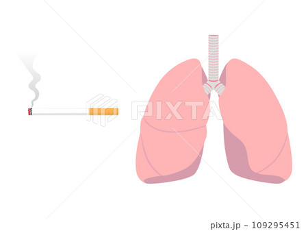 タバコと肺 タバコと肺 109295451