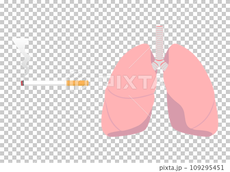 タバコと肺 タバコと肺 109295451