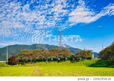姉川古戦場跡 姉川古戦場跡 109295616