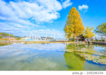 秋の縫ノ池と川津厳島神社　　佐賀県白石町 109296104