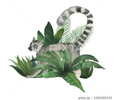 Watercolor illustration of lemur in the bushes of tropical plants. Hand drawn, isolated. Suitable for decorating a children's room design 109296335