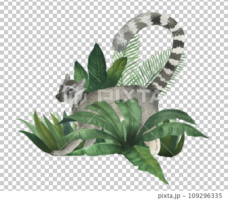 Watercolor illustration of lemur in the bushes of tropical plants. Hand drawn, isolated. Suitable for decorating a children's room design Watercolor illustration of lemur in the bushes of tropical plants. Hand drawn, isolated. Suitable for decorating a children's room design 109296335