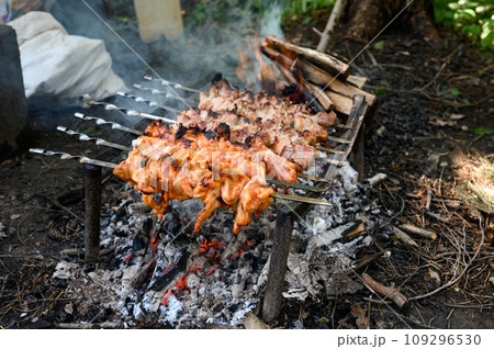 Cooking barbecue on a fire in the forest. 109296530