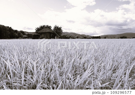 遠野遺産　秋の荒神神社 109296577