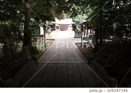 埼玉県北足立郡伊奈町の氷川神社の風景 109297146