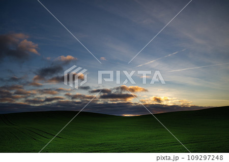 Expansive green field nestled under a breathtaking sunset Expansive green field nestled under a breathtaking sunset 109297248