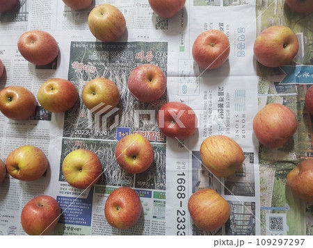 apples on the table 109297297