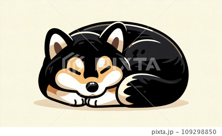 柴犬　黒柴　ペット　動物　 109298850