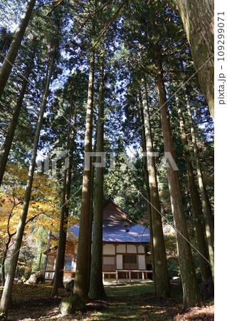 岡山県勝田郡奈義町にある浄土宗の寺「菩提寺」(全国銘木百選にも選ばれた大イチョウで有名):本堂 岡山県勝田郡奈義町にある浄土宗の寺「菩提寺」(全国銘木百選にも選ばれた大イチョウで有名):本堂 109299071
