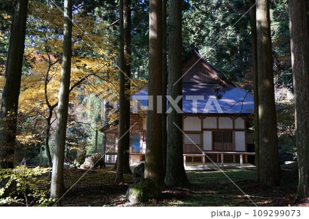 岡山県勝田郡奈義町にある浄土宗の寺「菩提寺」（全国銘木百選にも選ばれた大イチョウで有名）：本堂 109299073
