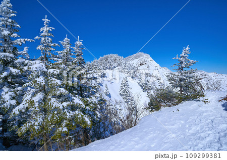 冬の長野県小諸市の浅間外輪山のトーミの頭から黒斑山山頂を見る 109299381
