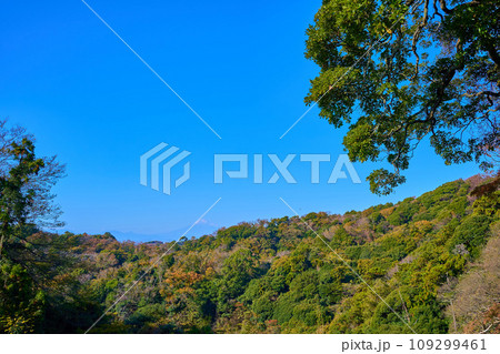 秋の鎌倉市の建長寺半僧坊の富士見台から西側眺望(富士山など) 秋の鎌倉市の建長寺半僧坊の富士見台から西側眺望(富士山など) 109299461