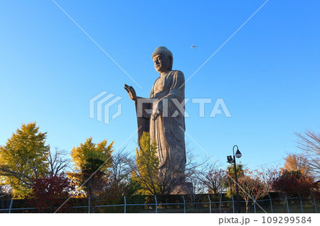 牛久大仏　ブロンズ製大仏立像　全高120メートル　茨城県牛久市久野町　浄土真宗東本願寺派本山東本願寺 109299584