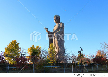牛久大仏 ブロンズ製大仏立像 全高120メートル 茨城県牛久市久野町 浄土真宗東本願寺派本山東本願寺 牛久大仏 ブロンズ製大仏立像 全高120メートル 茨城県牛久市久野町 浄土真宗東本願寺派本山東本願寺 109299585