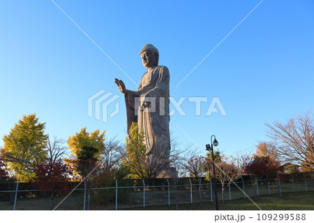 牛久大仏 ブロンズ製大仏立像 全高120メートル 茨城県牛久市久野町 浄土真宗東本願寺派本山東本願寺 牛久大仏 ブロンズ製大仏立像 全高120メートル 茨城県牛久市久野町 浄土真宗東本願寺派本山東本願寺 109299588