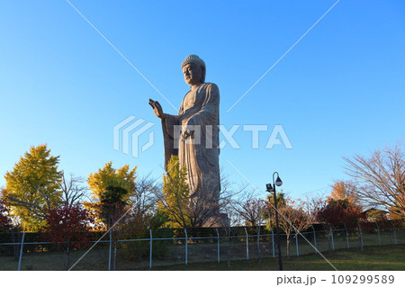 牛久大仏 ブロンズ製大仏立像 全高120メートル 茨城県牛久市久野町 浄土真宗東本願寺派本山東本願寺 牛久大仏 ブロンズ製大仏立像 全高120メートル 茨城県牛久市久野町 浄土真宗東本願寺派本山東本願寺 109299589