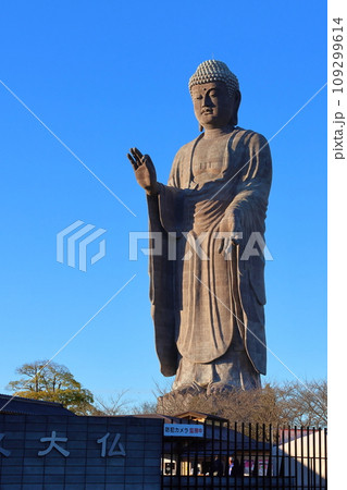 牛久大仏　ブロンズ製大仏立像　全高120メートル　茨城県牛久市久野町　浄土真宗東本願寺派本山東本願寺 109299614