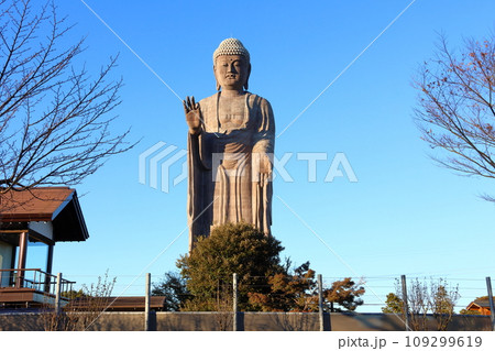 牛久大仏　ブロンズ製大仏立像　全高120メートル　茨城県牛久市久野町　浄土真宗東本願寺派本山東本願寺 109299619