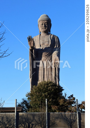 牛久大仏　ブロンズ製大仏立像　全高120メートル　茨城県牛久市久野町　浄土真宗東本願寺派本山東本願寺 109299626