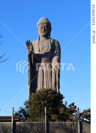 牛久大仏　ブロンズ製大仏立像　全高120メートル　茨城県牛久市久野町　浄土真宗東本願寺派本山東本願寺 109299638