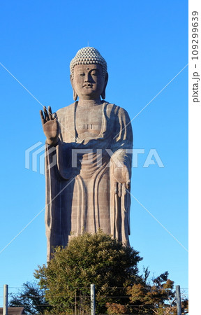 牛久大仏　ブロンズ製大仏立像　全高120メートル　茨城県牛久市久野町　浄土真宗東本願寺派本山東本願寺 109299639