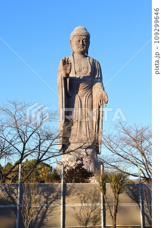 牛久大仏　ブロンズ製大仏立像　全高120メートル　茨城県牛久市久野町　浄土真宗東本願寺派本山東本願寺 109299646