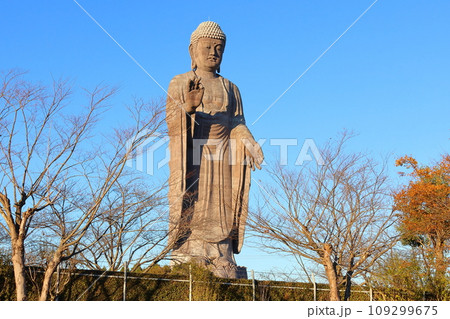 牛久大仏 ブロンズ製大仏立像 全高120メートル 茨城県牛久市久野町 浄土真宗東本願寺派本山東本願寺 牛久大仏 ブロンズ製大仏立像 全高120メートル 茨城県牛久市久野町 浄土真宗東本願寺派本山東本願寺 109299675